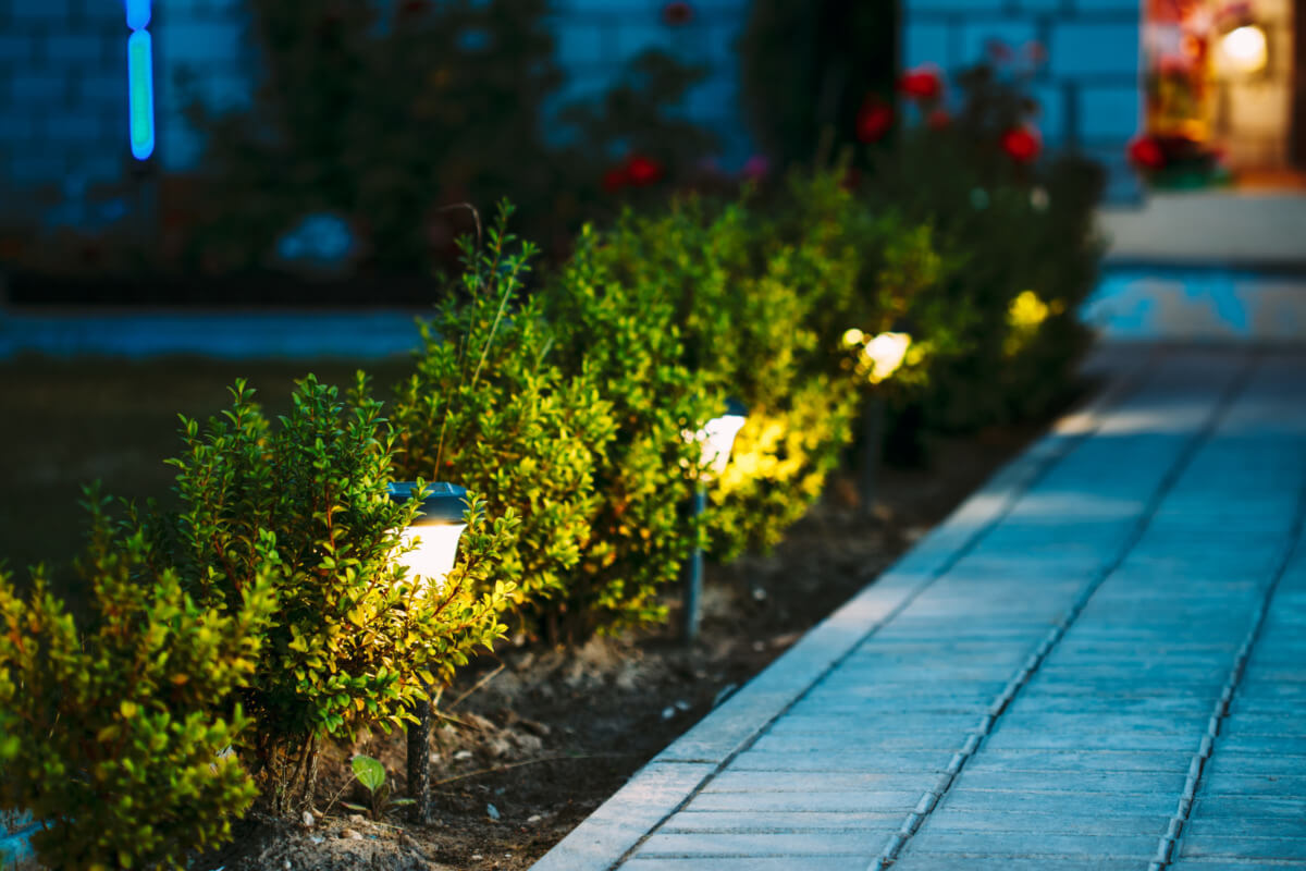 Beleuchteter Gartenweg mit modernen Solarleuchten entlang einer Hecke, die eine einladende Atmosphäre im Freien schafft.