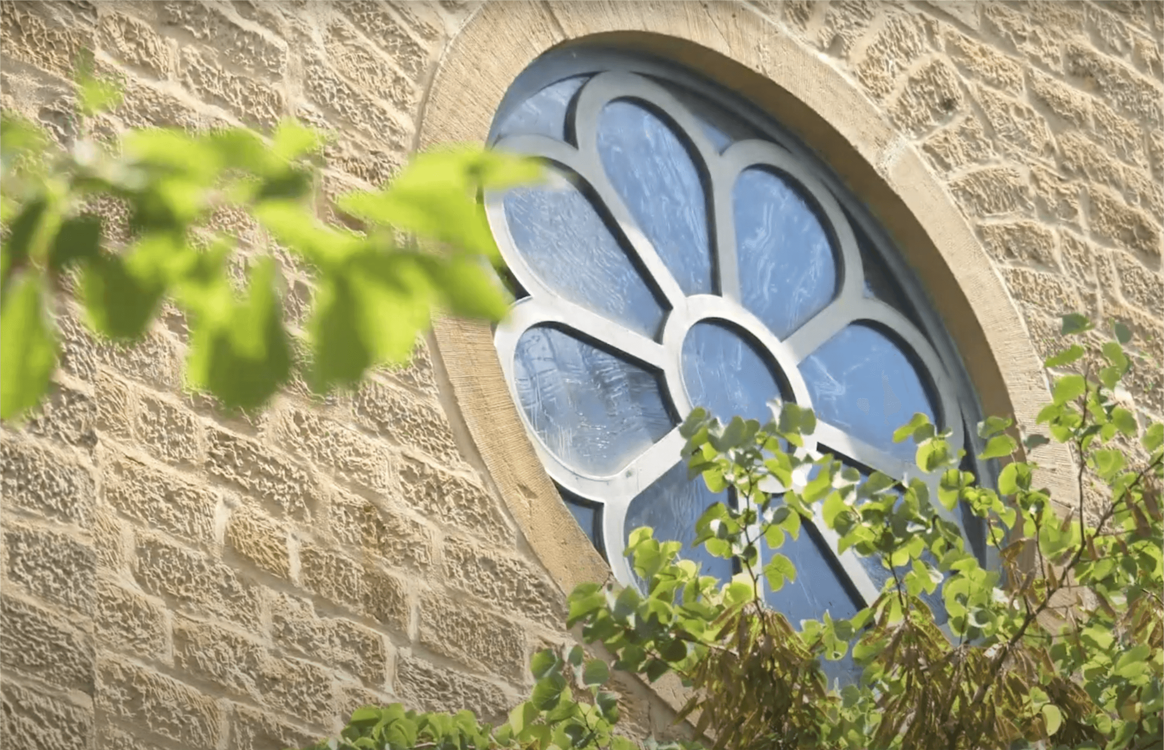 Detailaufnahme eines ovalen Fensters mit bunter Verglasung, umgeben von grünen Blättern und einer Steinmauer, die eine historische Architektur widerspiegelt.