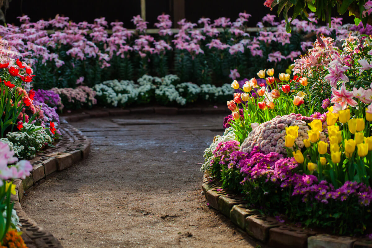 Blühender Gartenweg mit bunten Blumenbeeten, darunter rote Tulpen, gelbe und lilafarbene Blüten, umgeben von einem geschwungenen, gepflasterten Weg. Ideal für Gartenliebhaber und Naturliebhaber, die die Schönheit der Natur genießen möchten.
