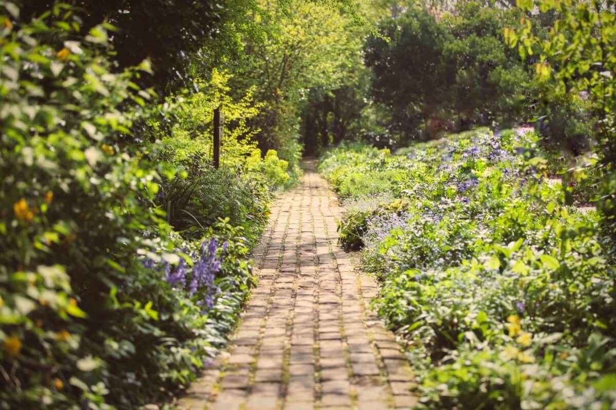 Ein malerischer, gepflasterter Weg führt durch eine grüne Oase mit üppiger Vegetation und bunten Blumen, umgeben von Bäumen und Sträuchern, ideal für entspannte Spaziergänge in der Natur.